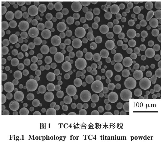 人工植入缺陷對(duì)增材制造TC4鈦合金性能的影響規(guī)律
